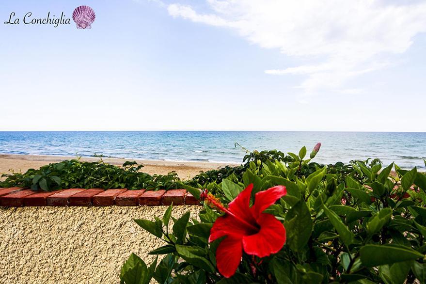 Casa La Conchiglia Sulla Spiaggia Lido di Noto Exterior foto